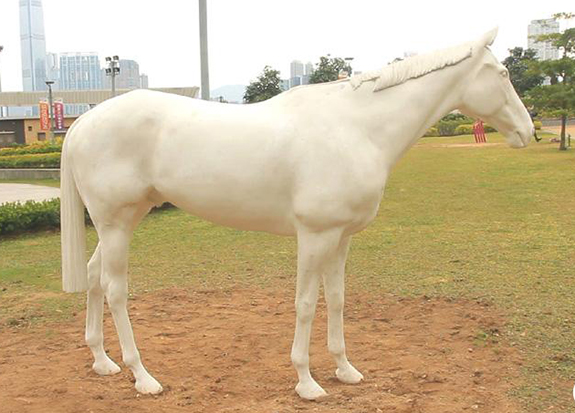 ӢˇgR·ָƷWhite Horse.jpg